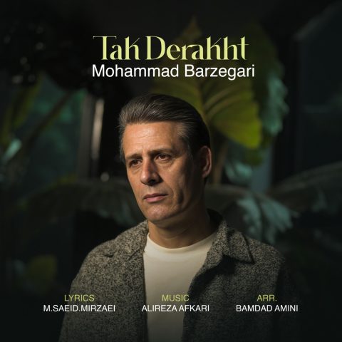 دانلود آهنگ محمد برزگری تک درخت